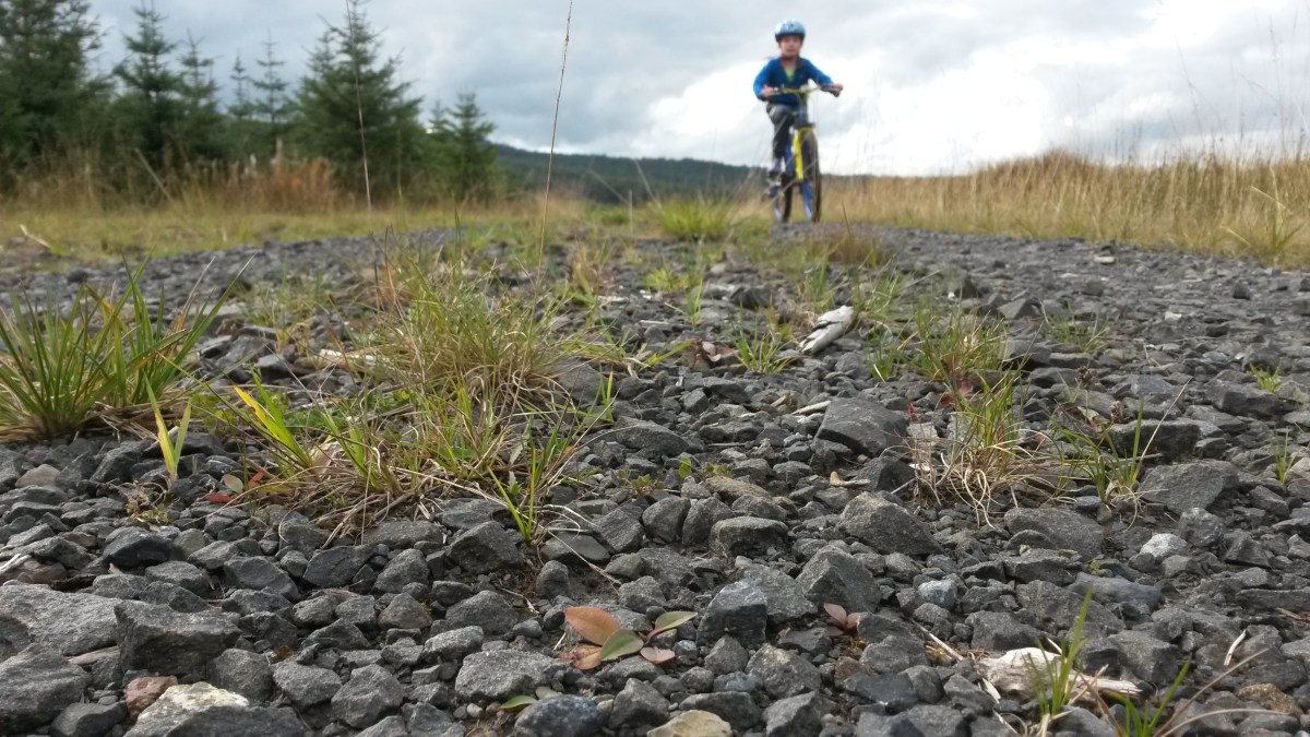 Grand Tour of the Scotland-England Border