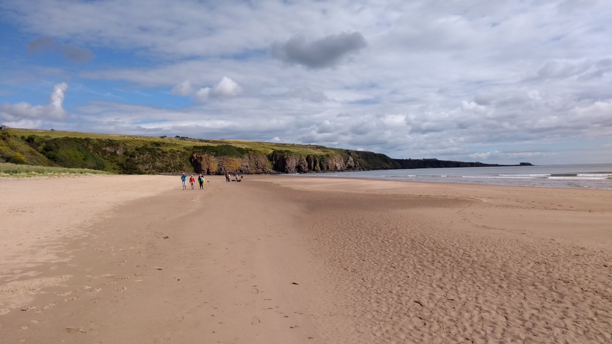 Redford to Lunan&nbsp;Bay