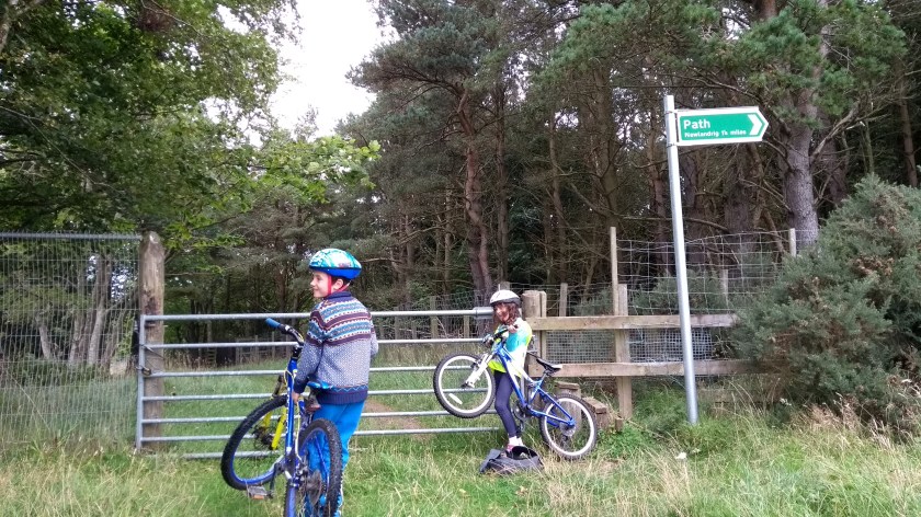 IMG_20170924_102137251