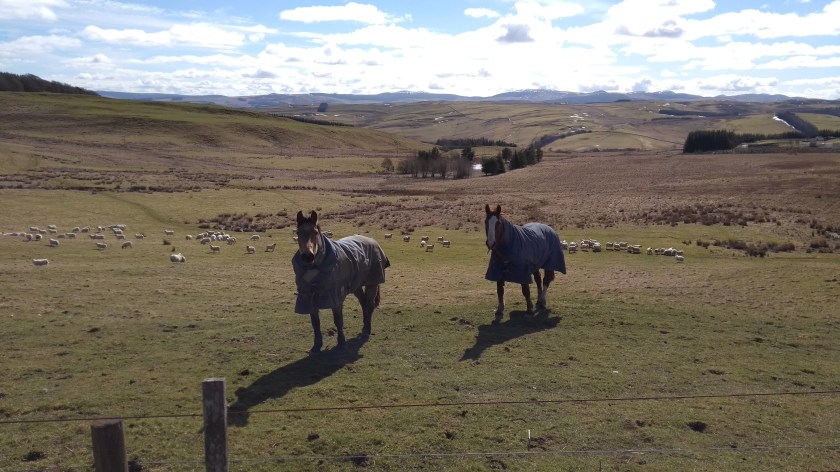 IMG_20180324_115143117