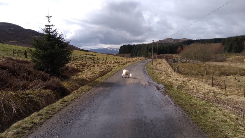 IMG_20180408_104651850