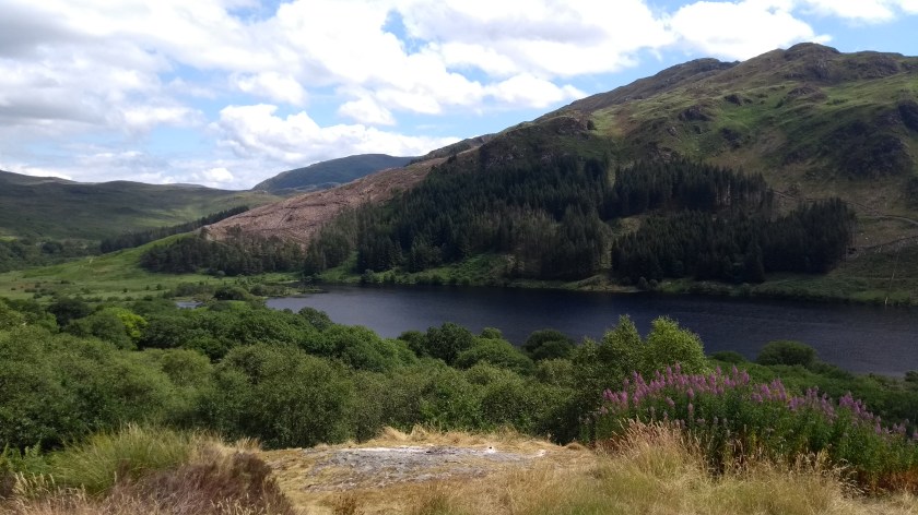 IMG_20180708_143634080