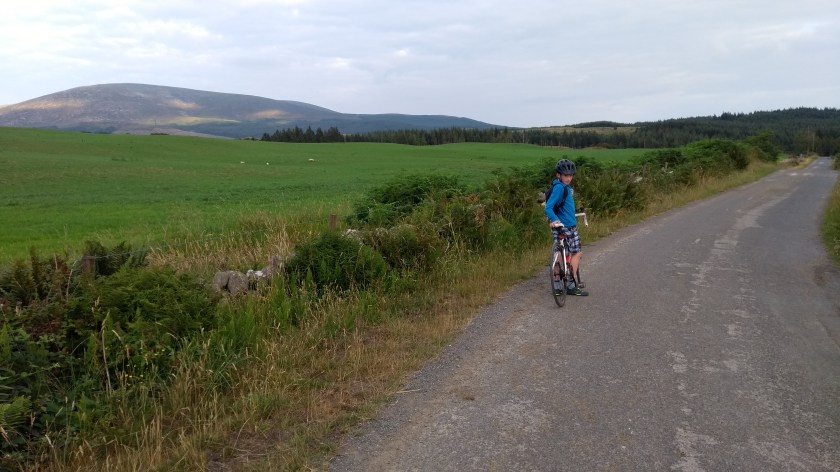 IMG_20180713_194133808